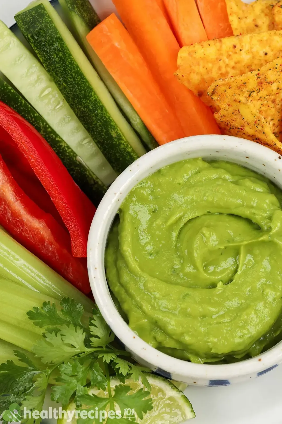 Differences Between Avocado Dip and Guacamole