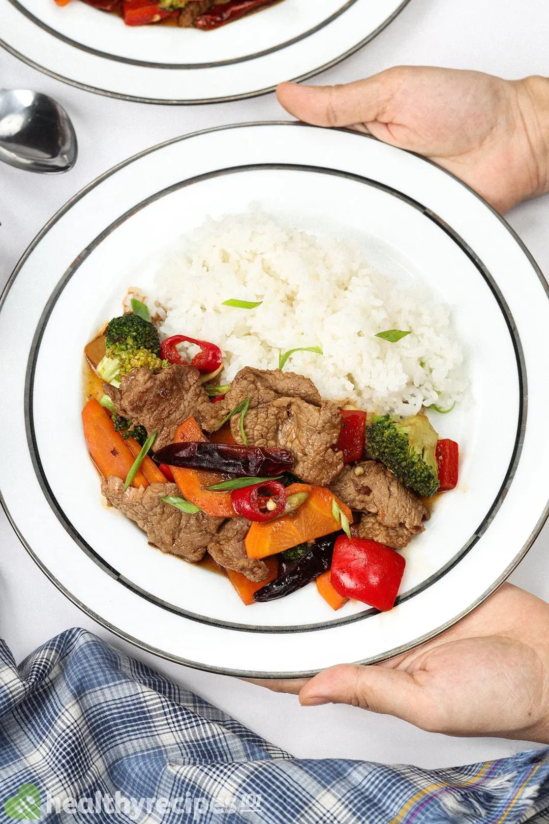 two hand holding a plate of cooked beef broccoli and carrot cubed and pepper with rice