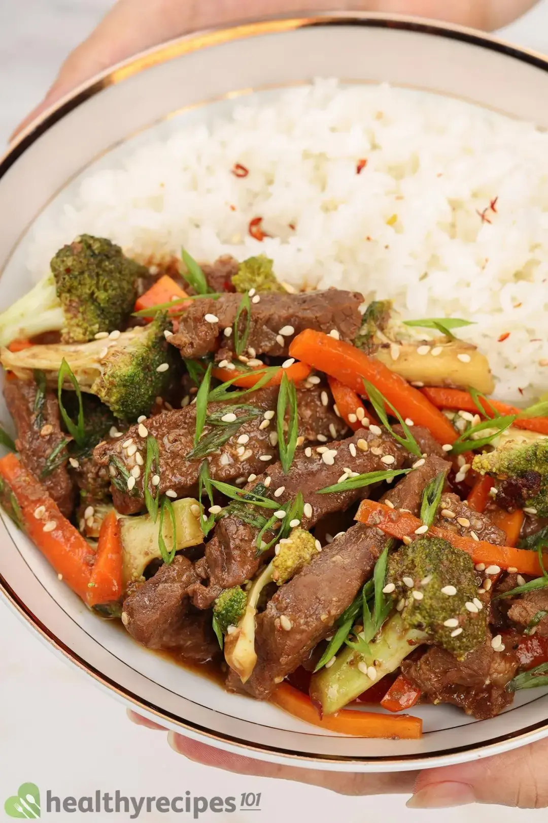 homemade instant pot mongolian beef