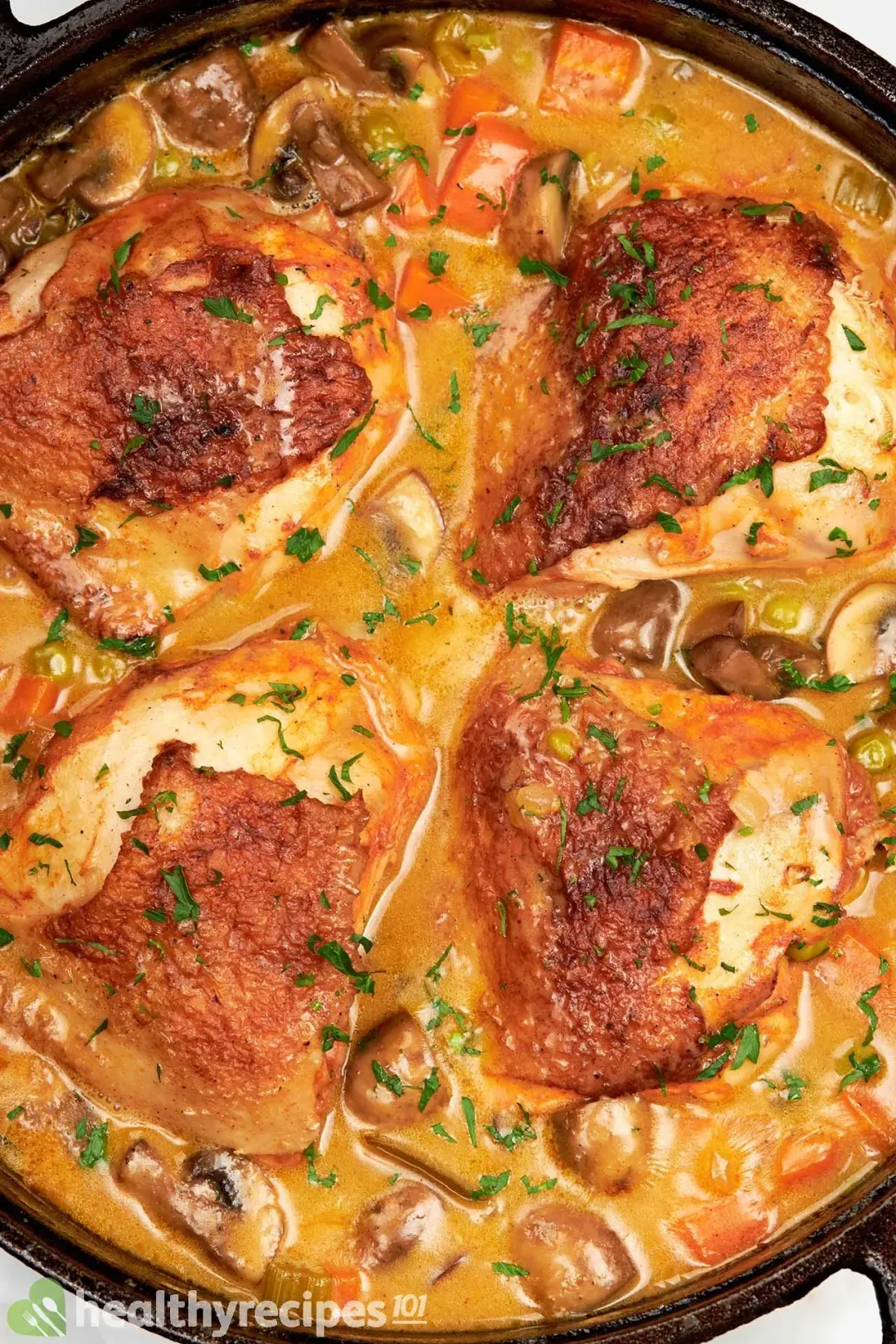 Chicken Fricassee Recipe