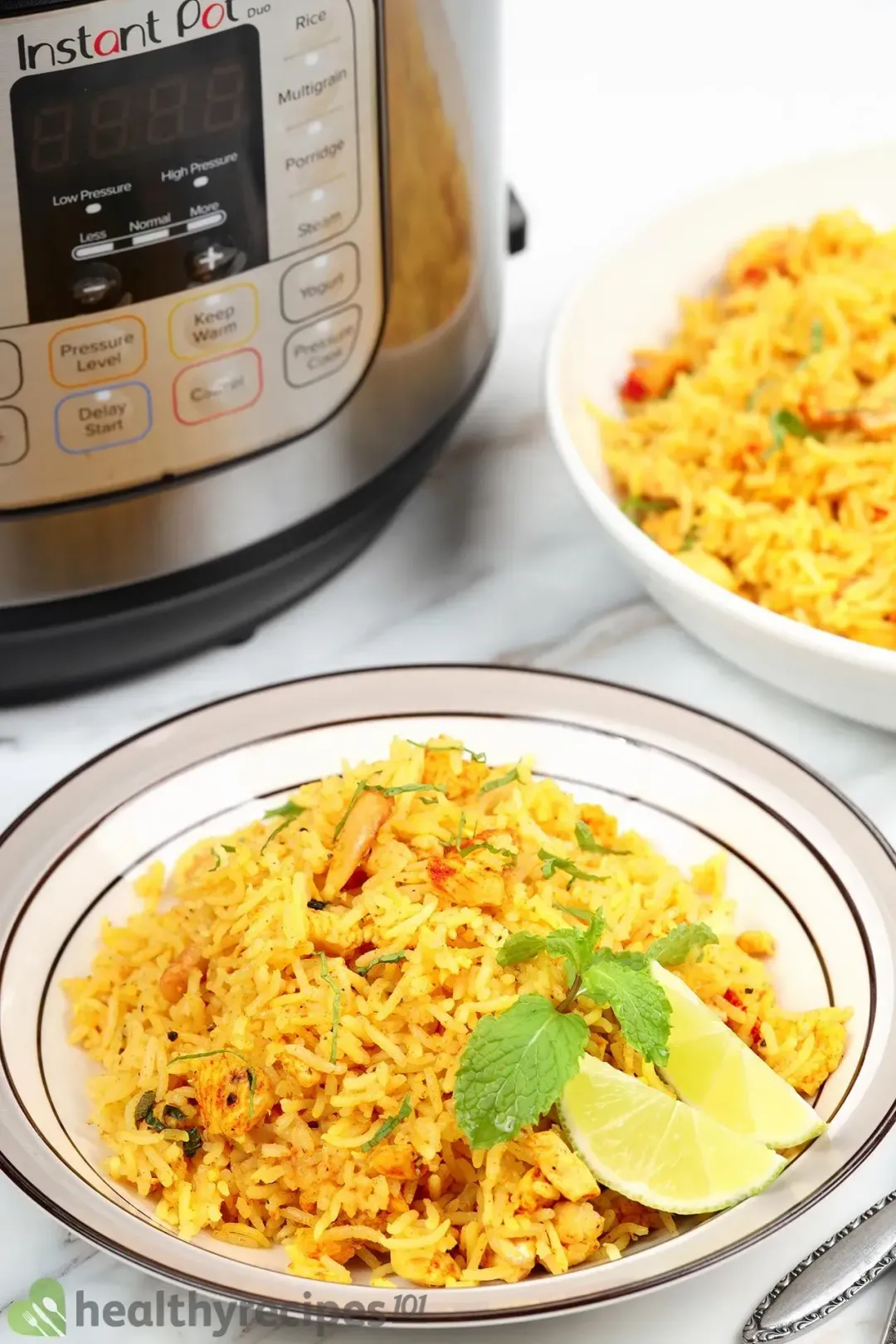 Instant Pot Chicken Biryani Recipe