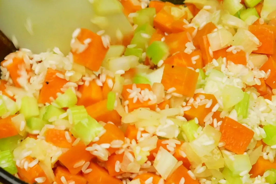 chopped carrot, chopped celery and rice mixed together