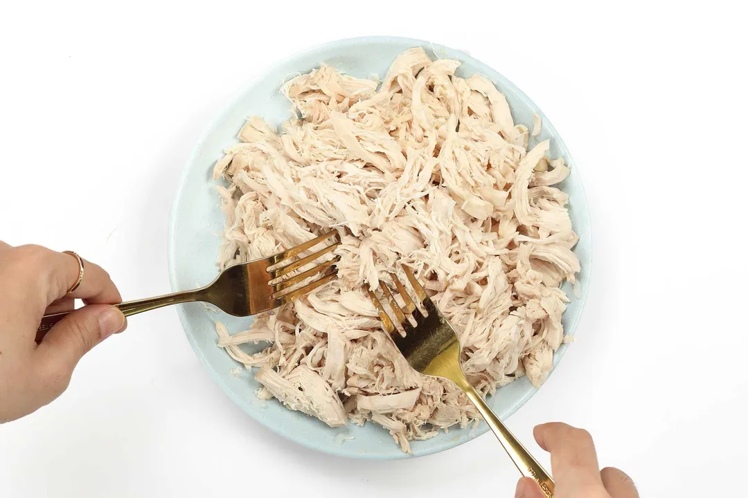 Chicken breasts being shredded by two forks