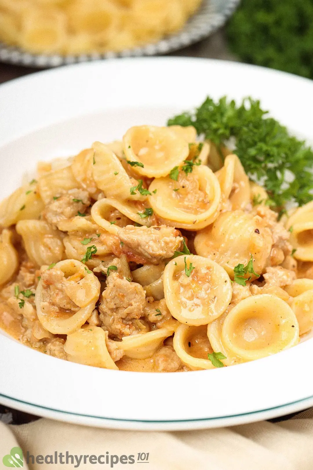 A close-up shot of a plate of ground chicken pasta