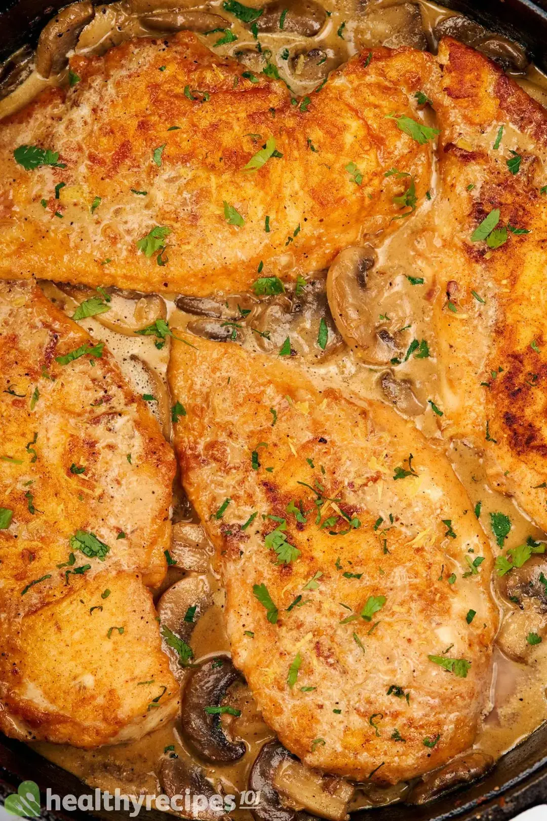 what is scallopini
