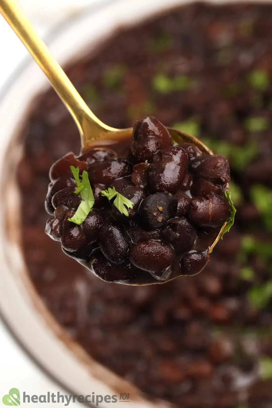 black beans vs. pinto beans