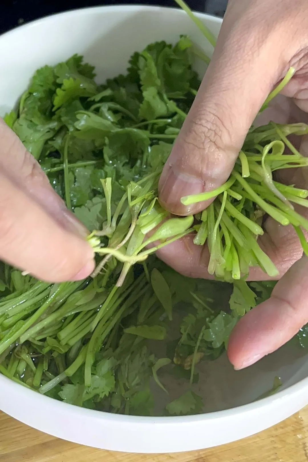 cleaning cilantro in a bowl