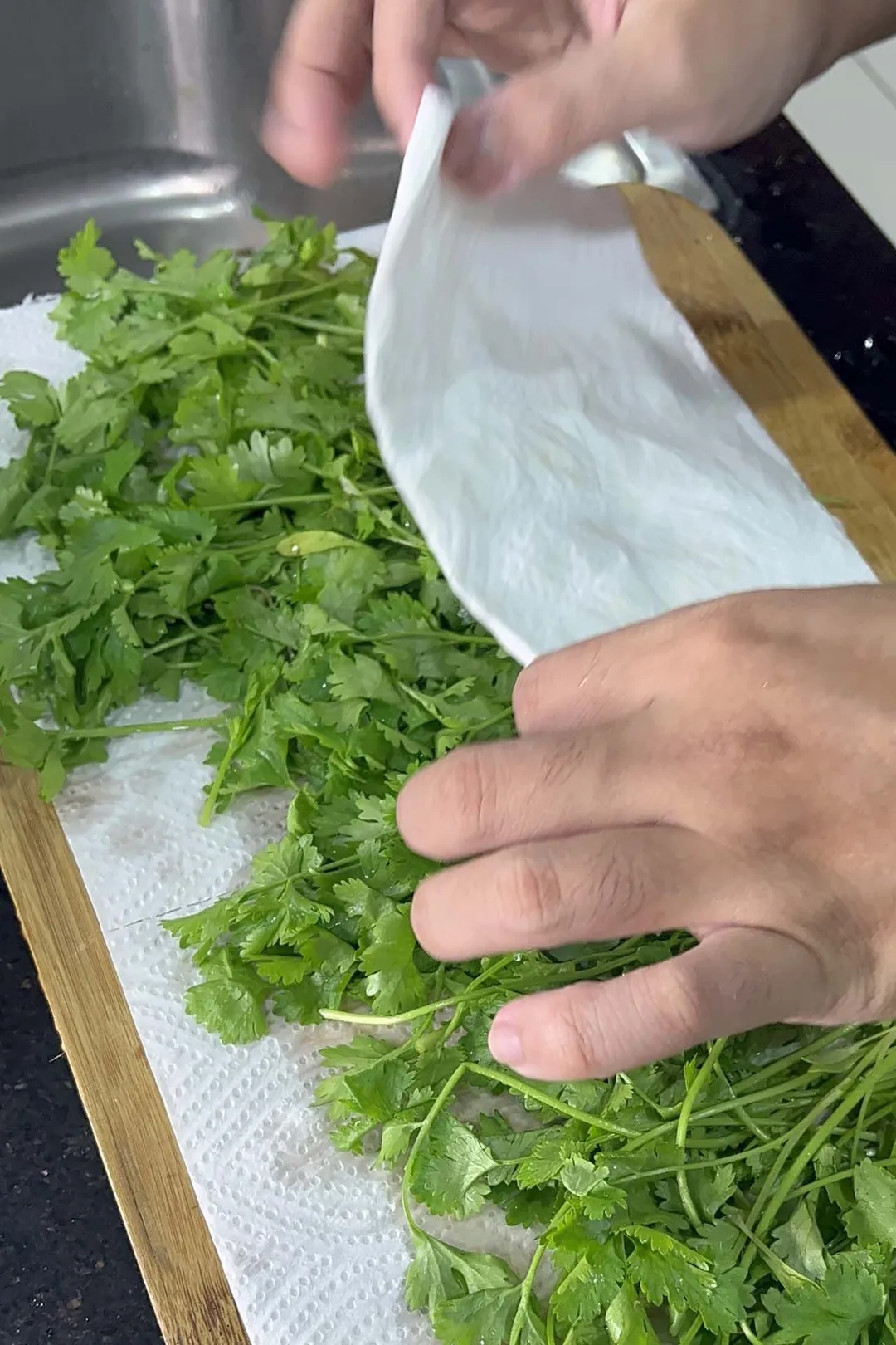 hand holding paper towel placed on cilantro