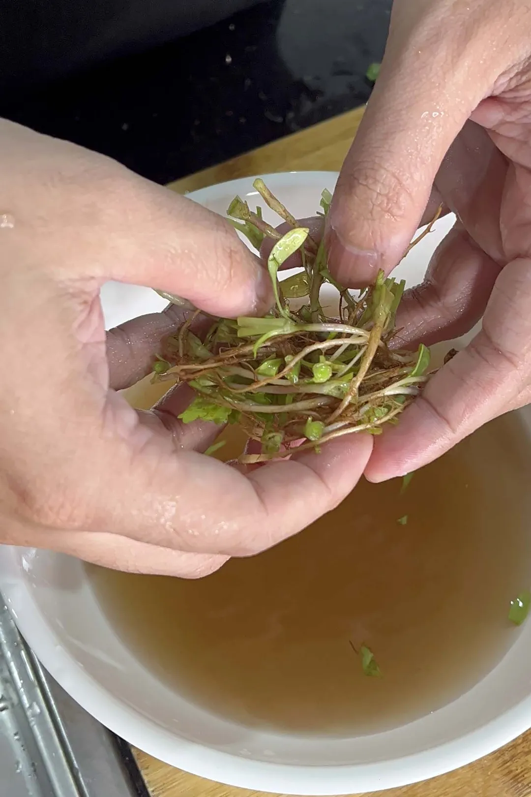 two hand cleaning cilantro roots in a bowl