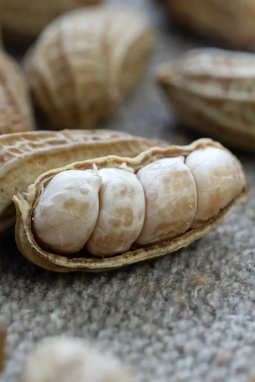 How do you make boiled peanuts