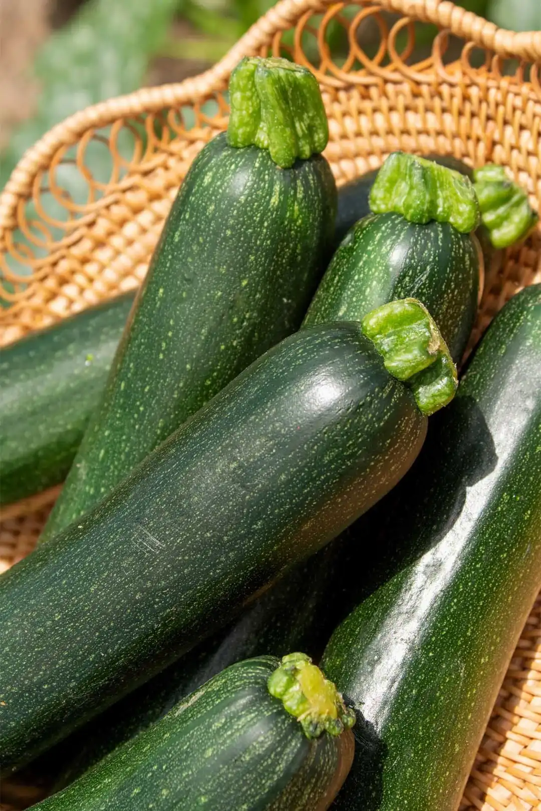 How to Store Zucchini: The Best Ways to Keep It Fresh &amp; Long-Lasting