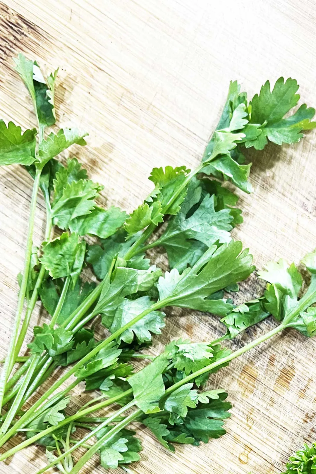 cilantro on cutting board