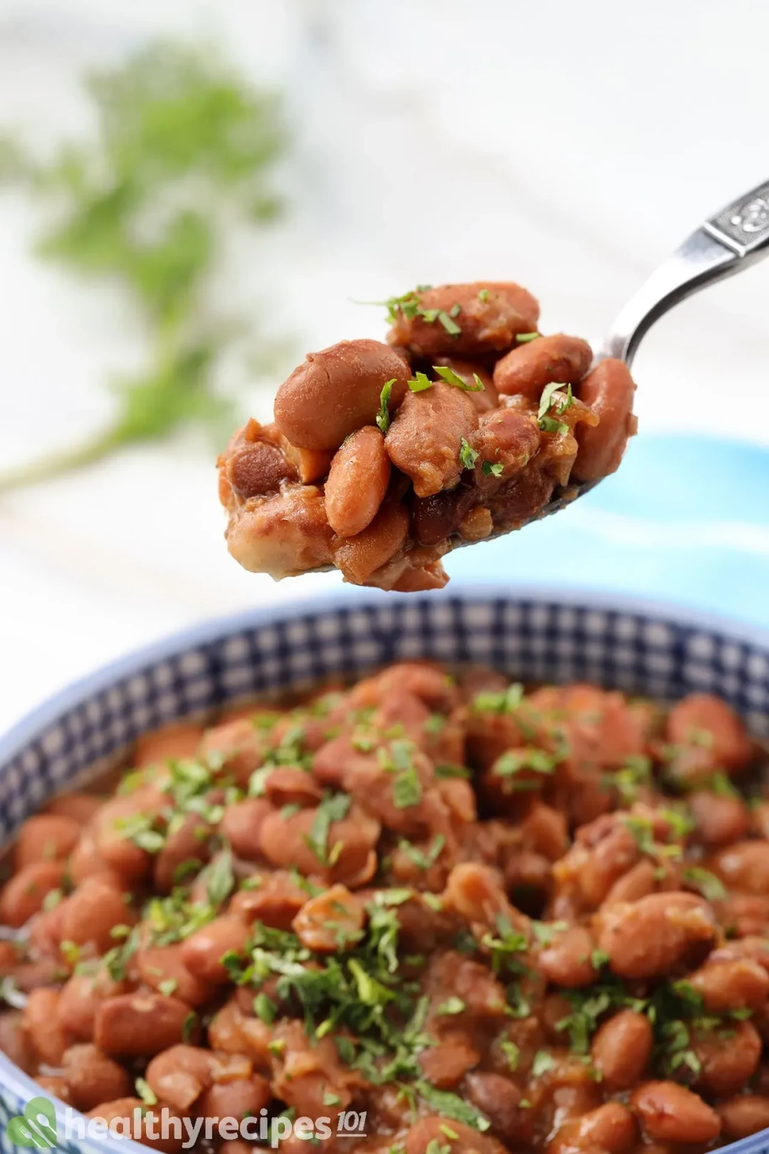 Instant Pot Pinto Beans Recipe