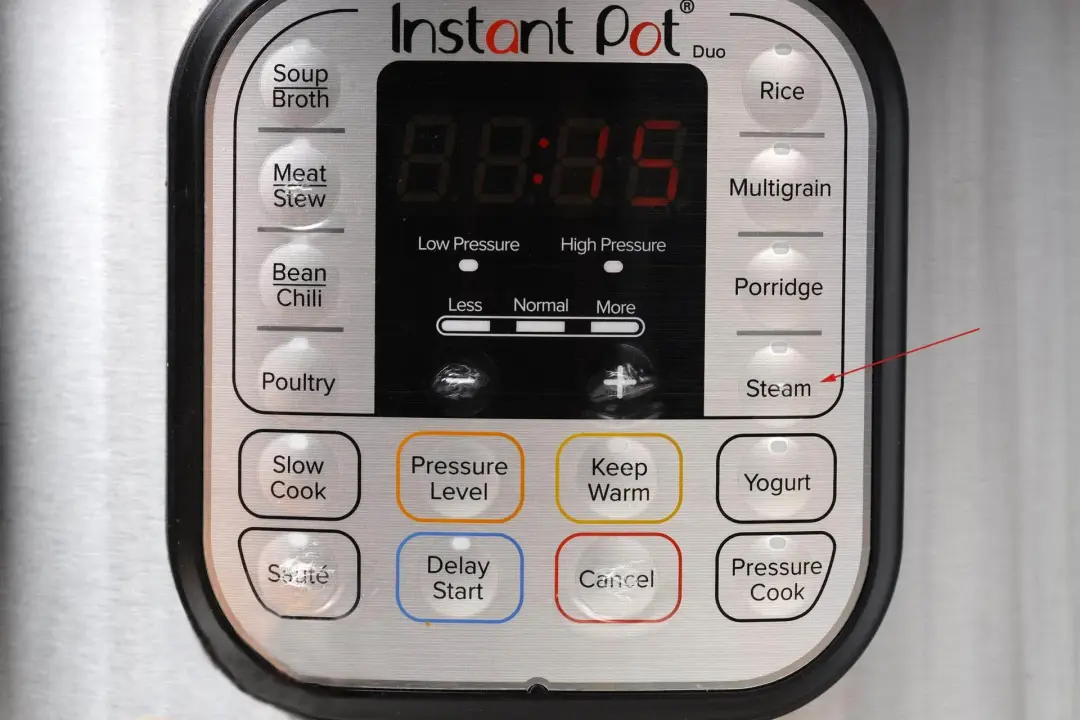 instant pot steam