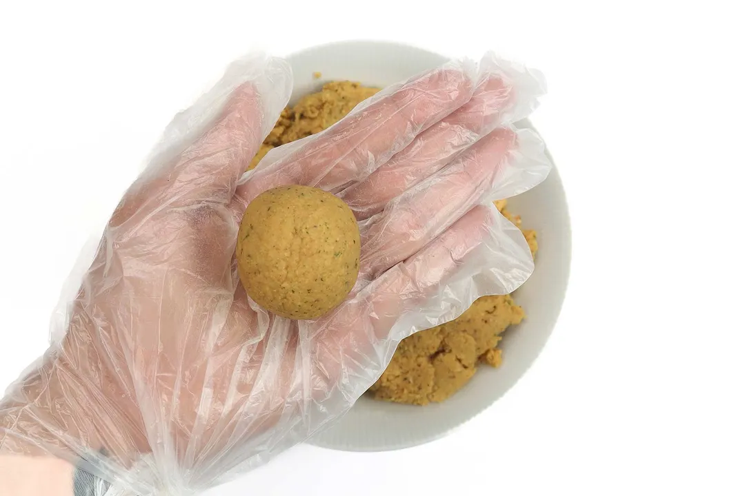 A hand wearing a disposable plastic glove holding a round ball of blended chickpeas.