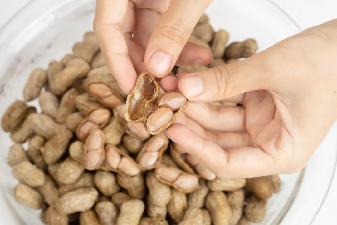 two hand holding a peanut