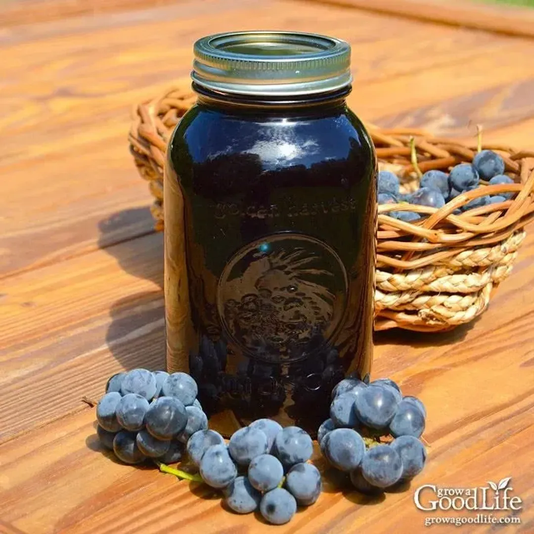 Added Sugar Free Grape Juice