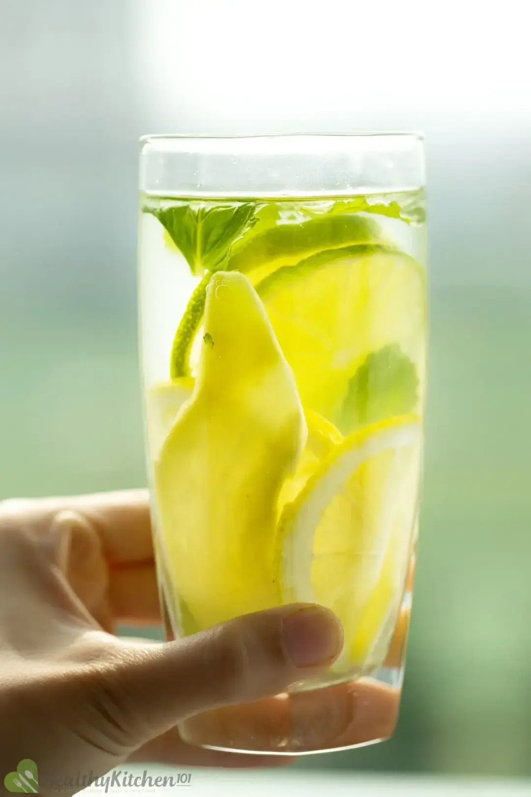 A hand holding a tall glass filled with mint leaves, sliced lemon wheels, and sliced ginger submerged in clear water