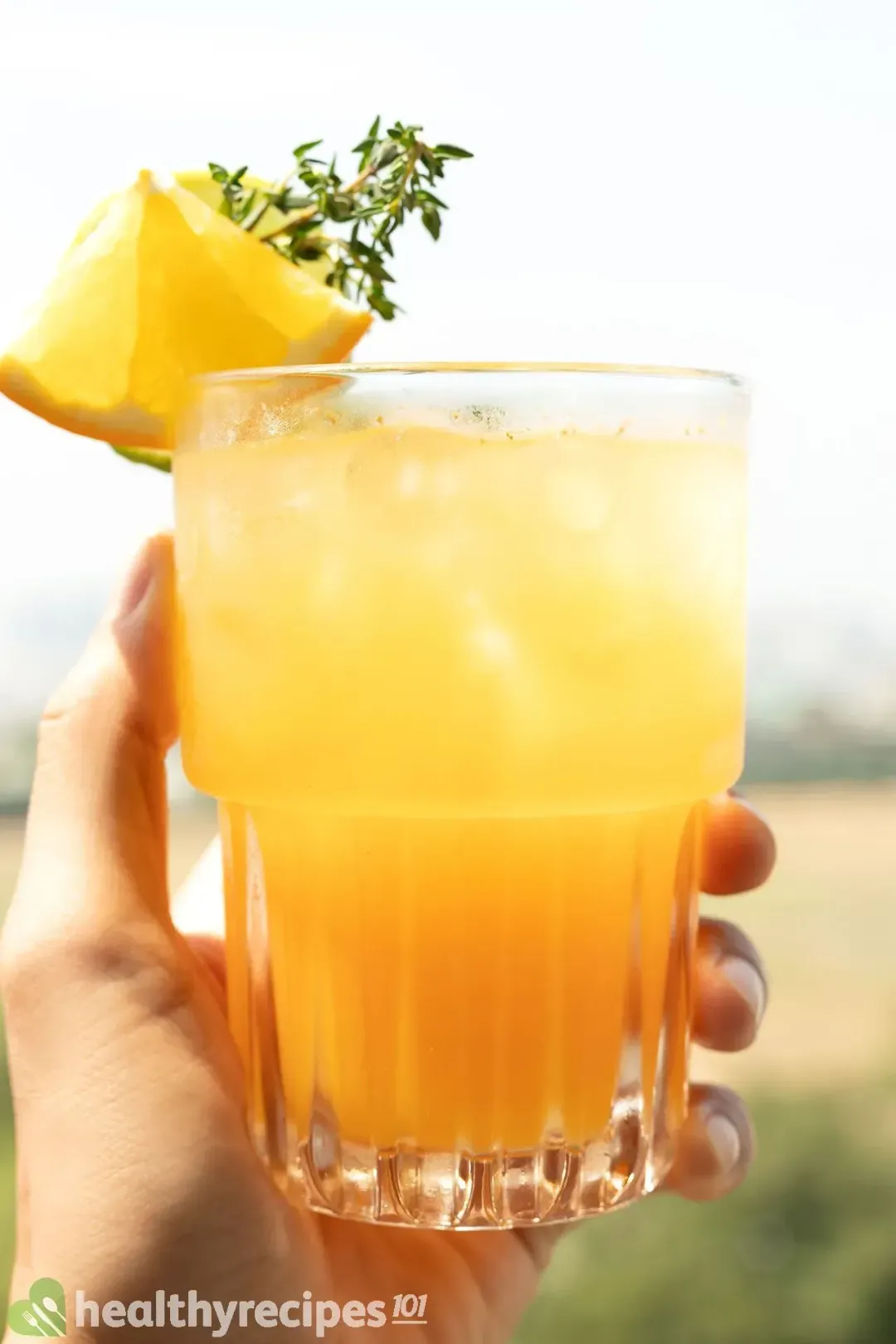 A hand holding an iced glass of grapefruit cocktail garnished with grapefruit wedges and sprigs of thyme