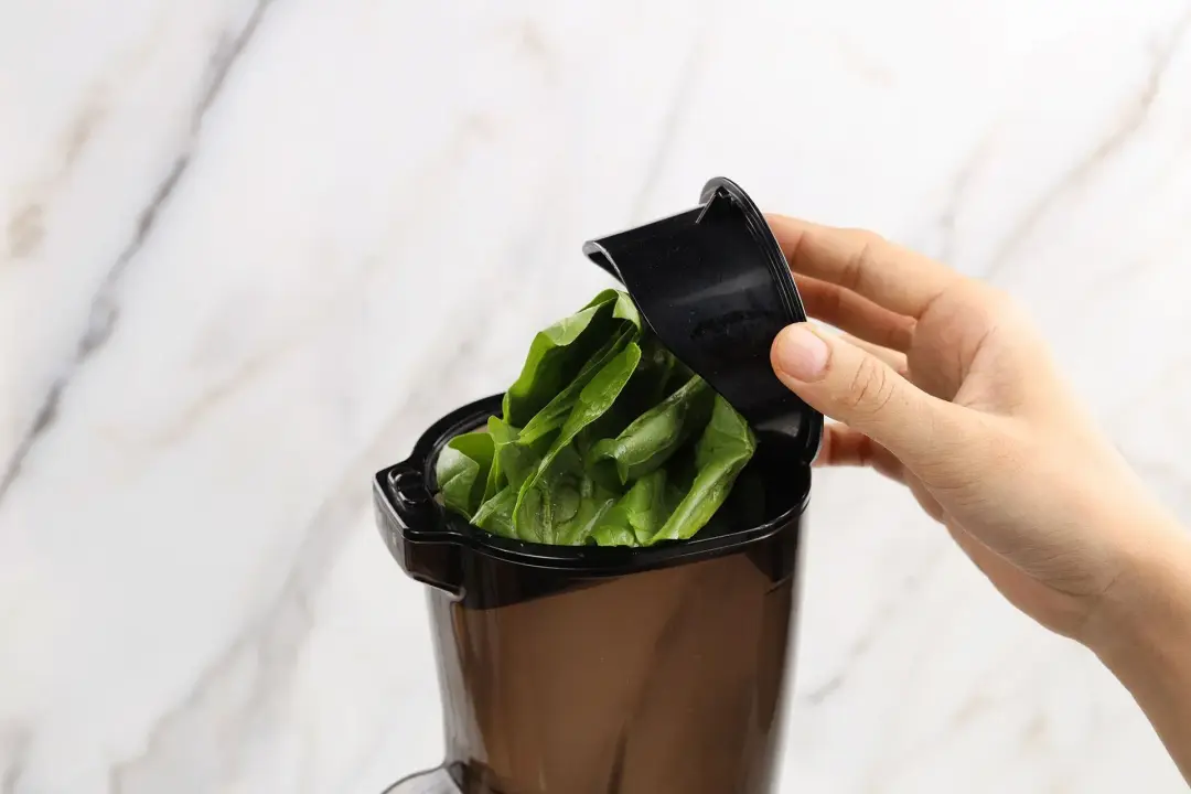 How To Make Spinach Juice step 1