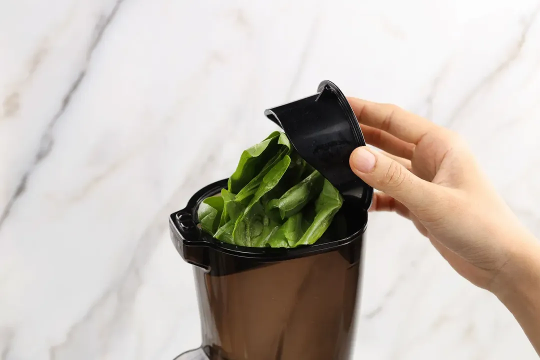 How To Make Spinach Juice step 1