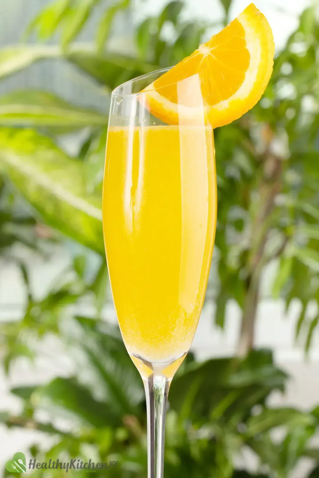 A flute glass of orange and ginger ale cocktail garnished with a lime wedge and put in front of greeneries 