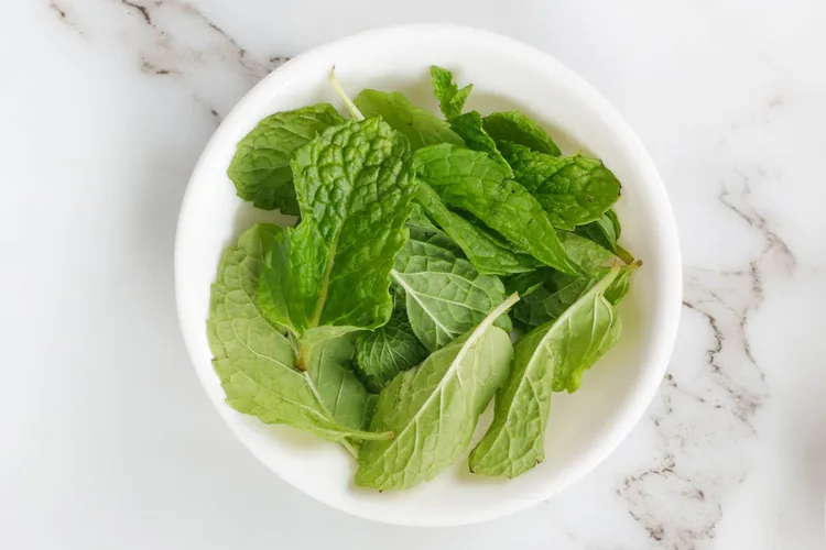 Apple Cider Vinegar and Pineapple Juice Recipe Take on a Healthy Drink