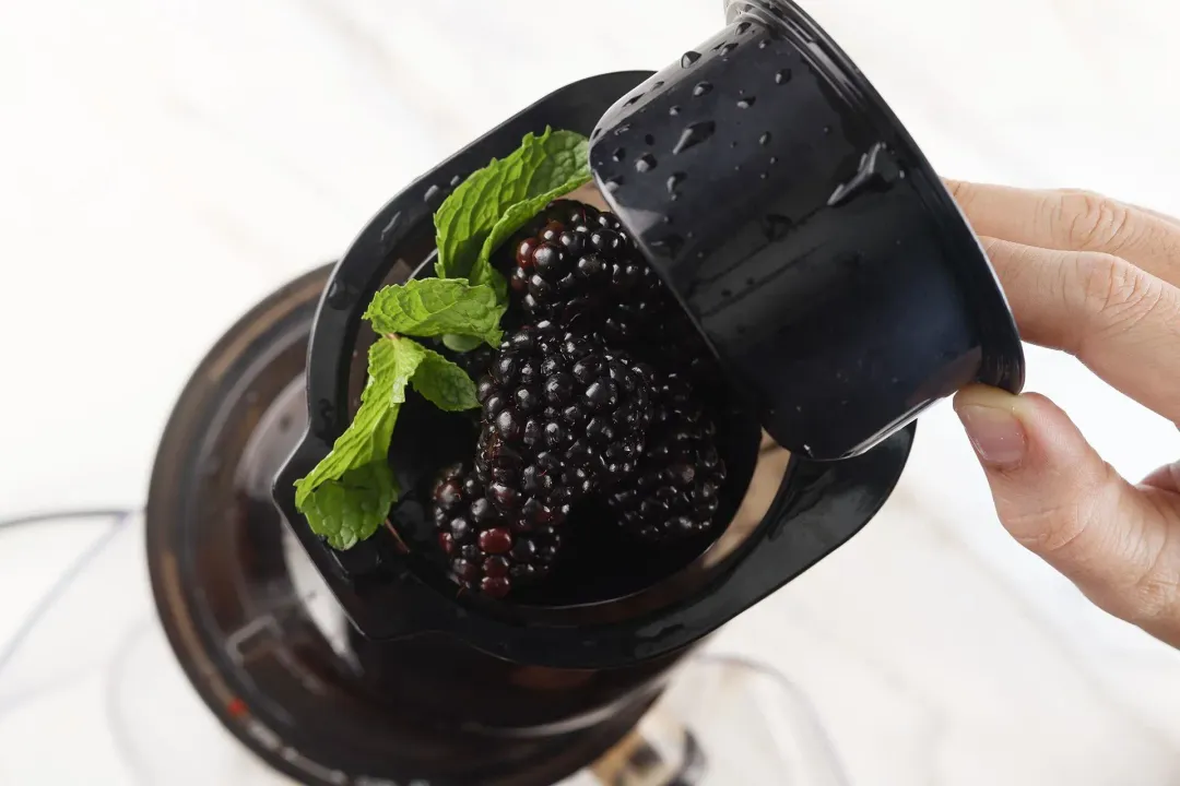 Some blackberries and mints put onto the feeder of a juicer