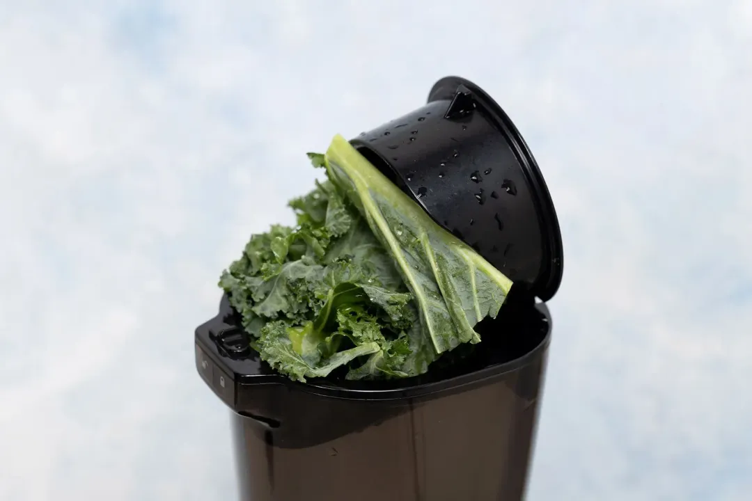 Some kale in the feeder of a juicer