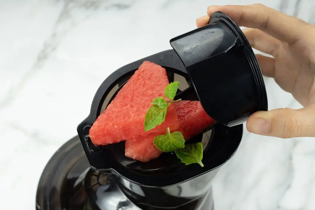 Watermelon slices and spearmint being into a juicer