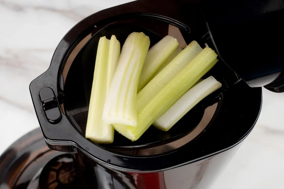 celery on top of a juicer