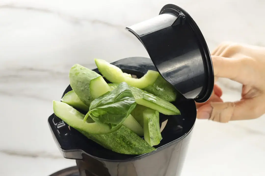 Cucumber slices put into the feeder of a juicer