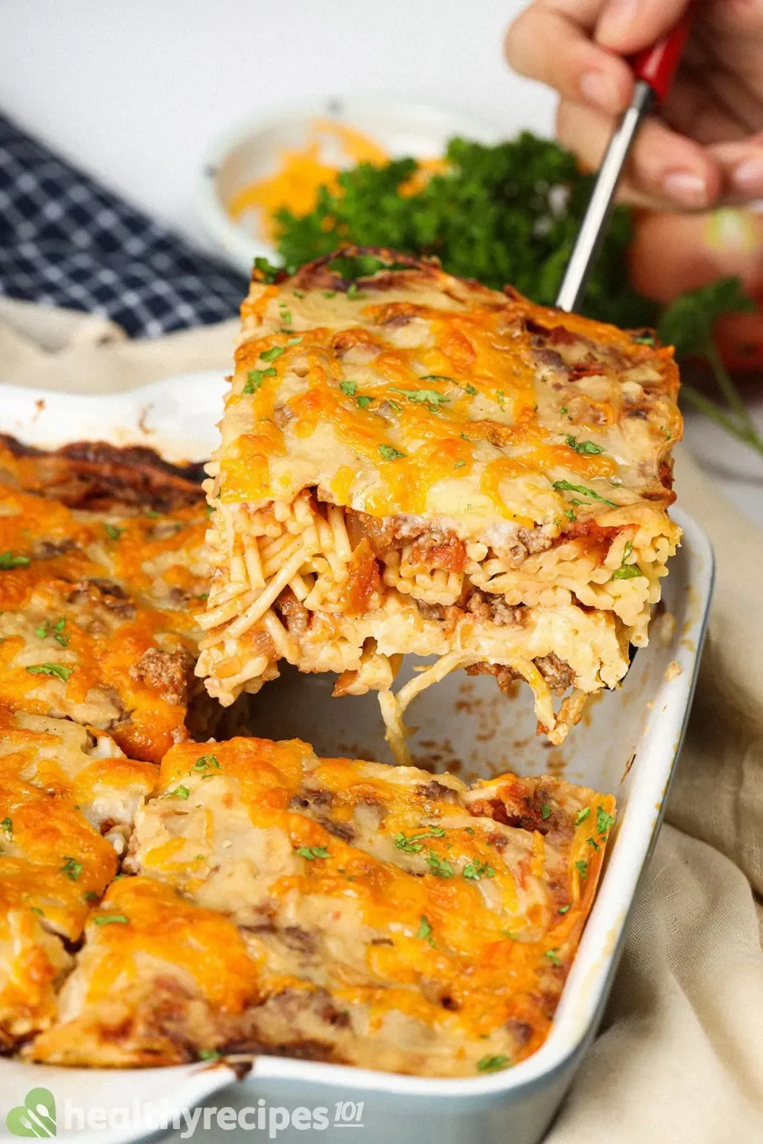 Spaghetti Lasagna Recipe