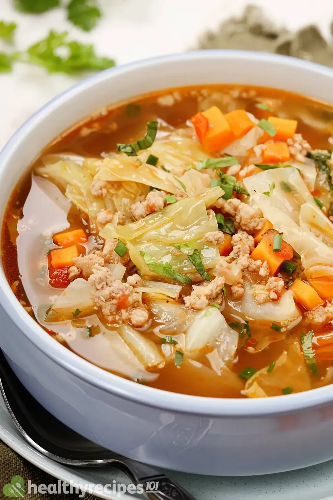 Cabbage Soup Recipe