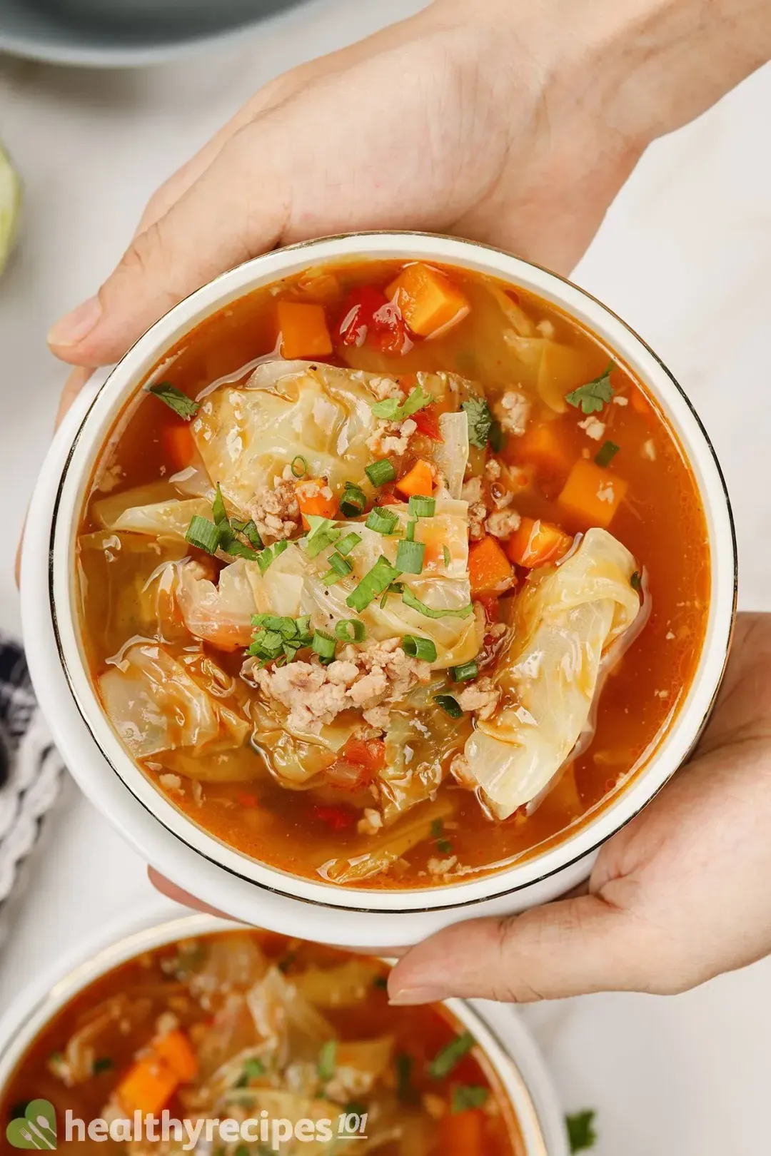 homemade cabbage soup