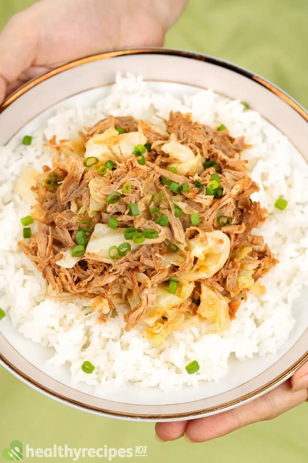 homemade instant pot kalua pork