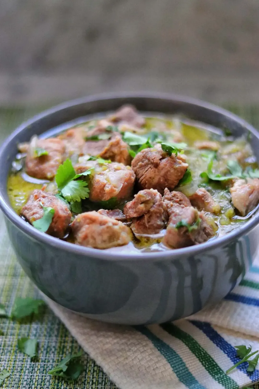 Instant Pot Chile Verde Pork Stew