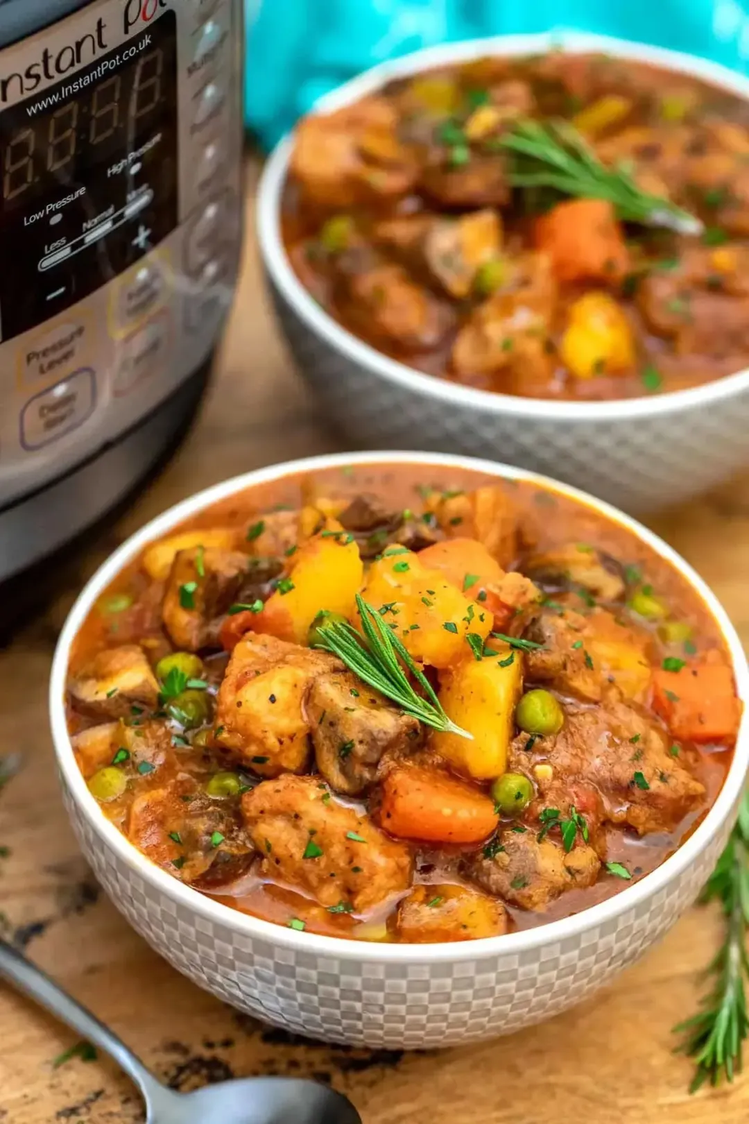 Instant Pot Pork Stew With Vegetables