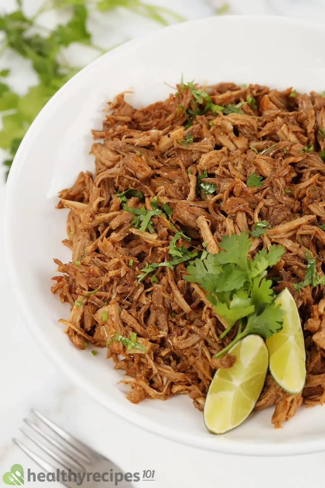 instant pot pulled pork recipe