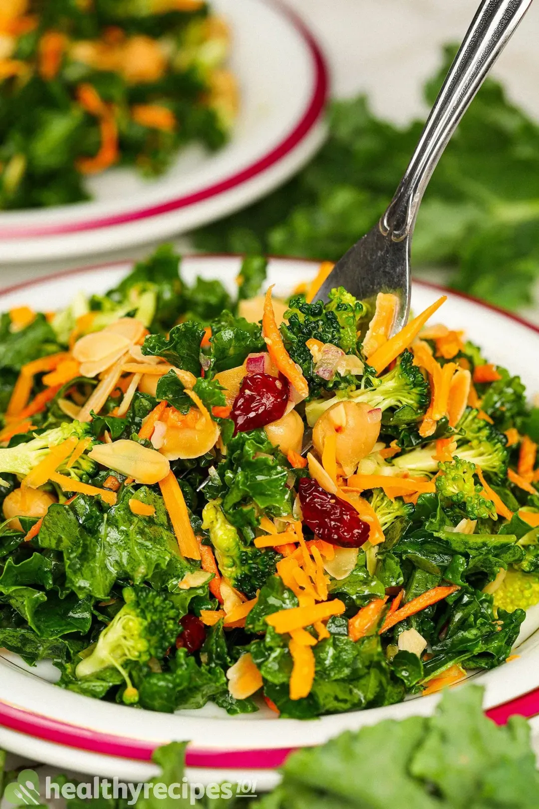 Lemon Kale Salad Recipe