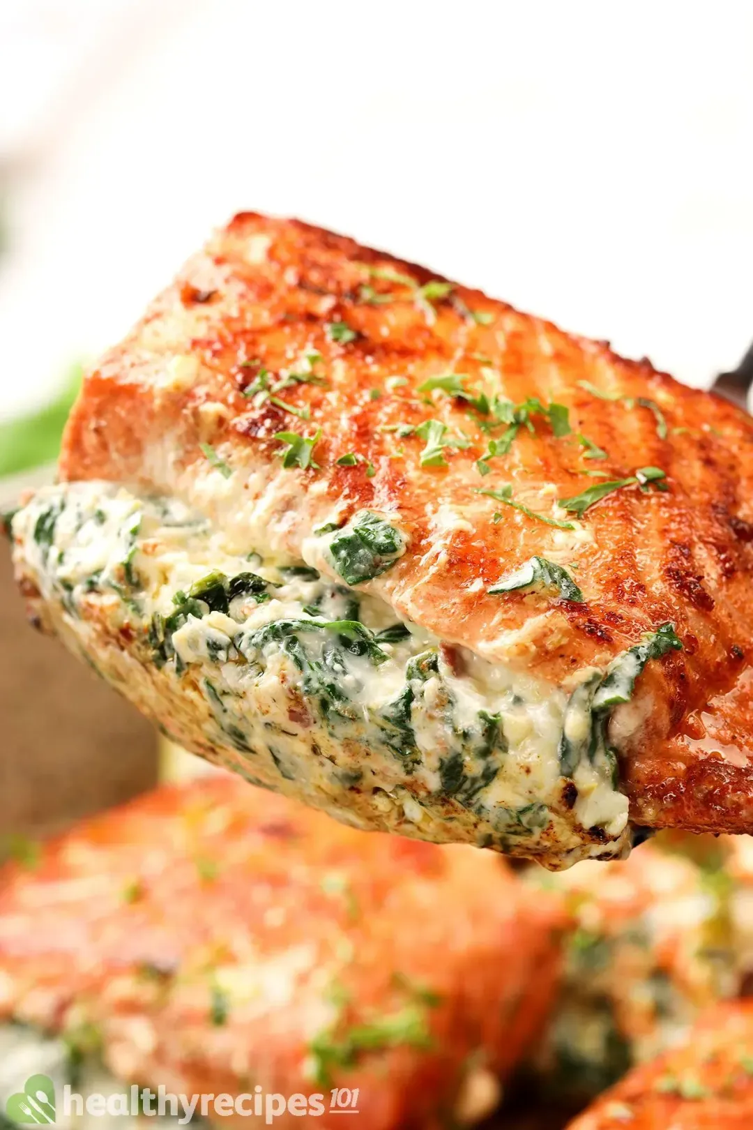 Homemade stuffed salmon recipe