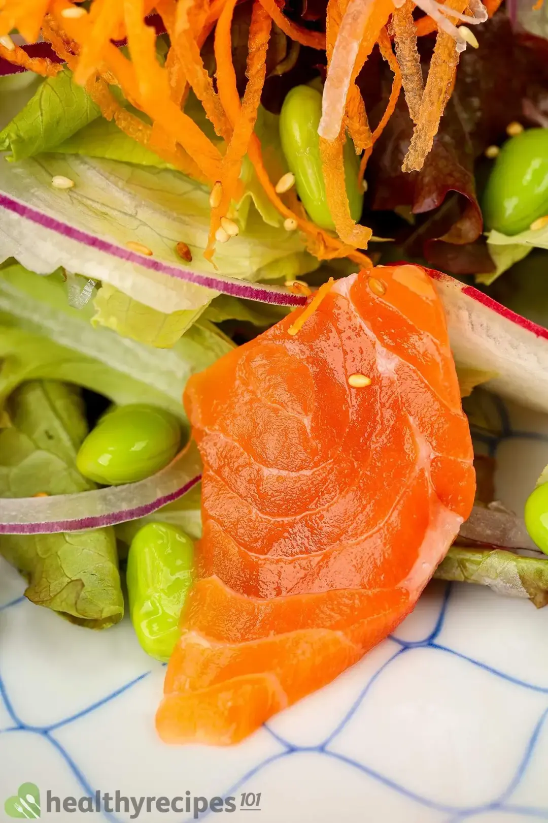 A close-up shot of Japanese salmon salad