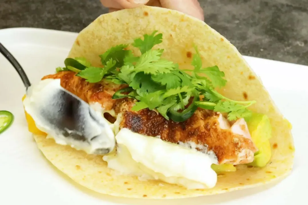 A picture of a spoon putting the blackened salmon, avocado-mango salsa, white sauce, and fresh parsley inside a corn tortilla.