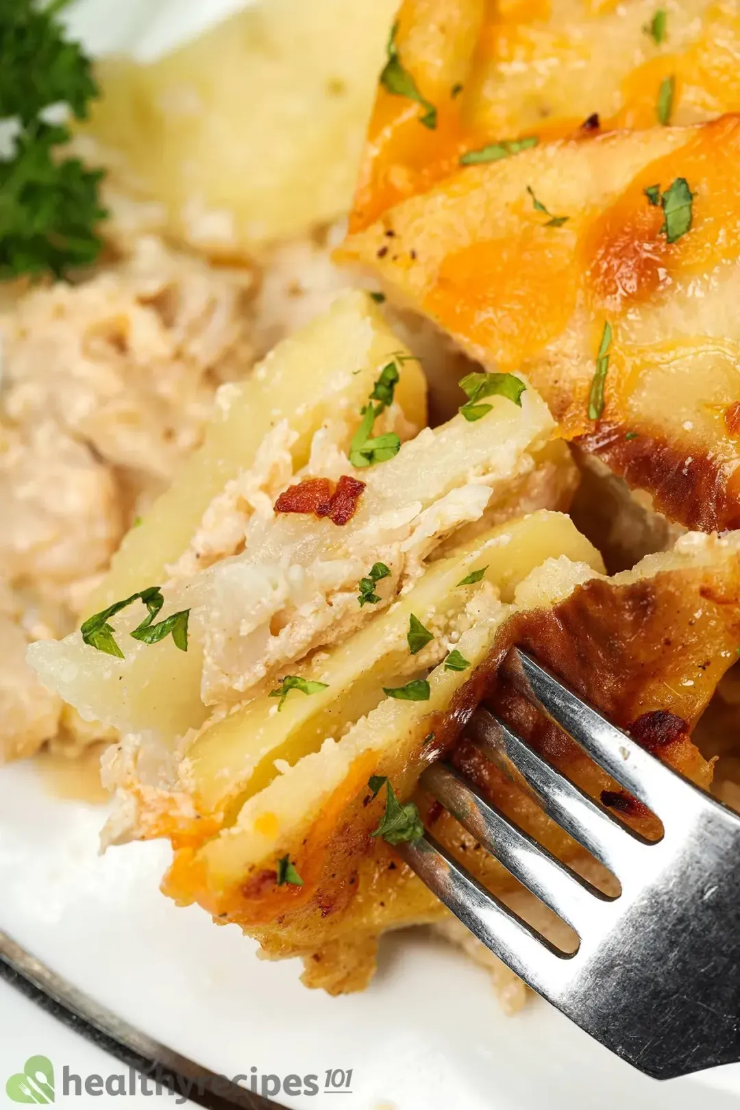 Tips for Cooking a Perfect Sea Bass Casserole