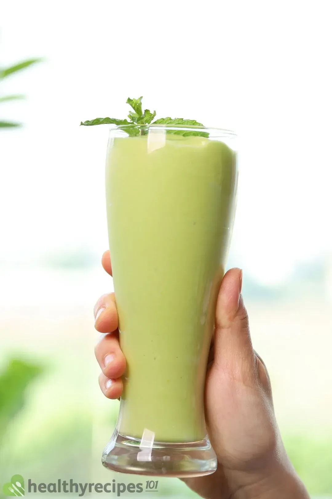 Benefits of Avocado Smoothie