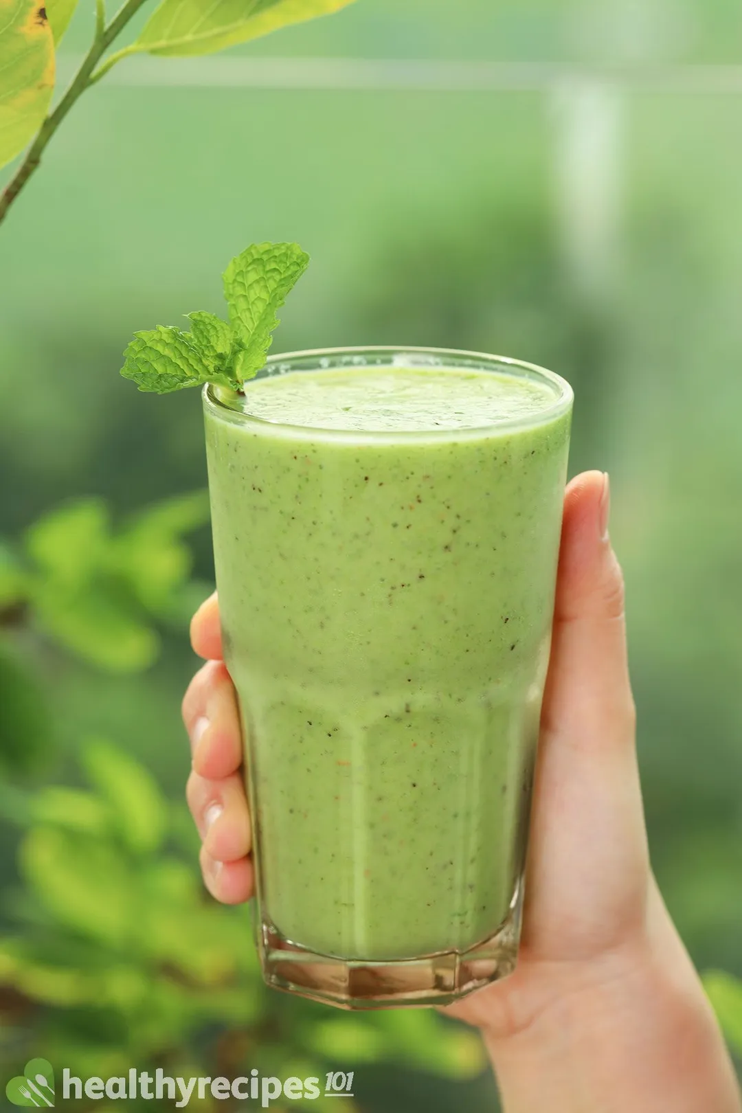 A hand holding a glass of kiwi smoothie.