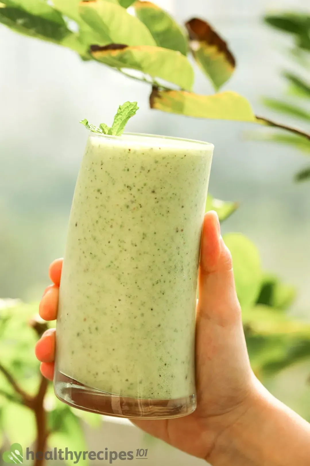 Kiwi Banana Smoothie Recipe