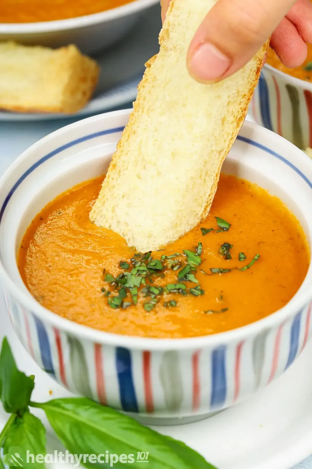 Difference Between Tomato Soup and Tomato Basil Soup