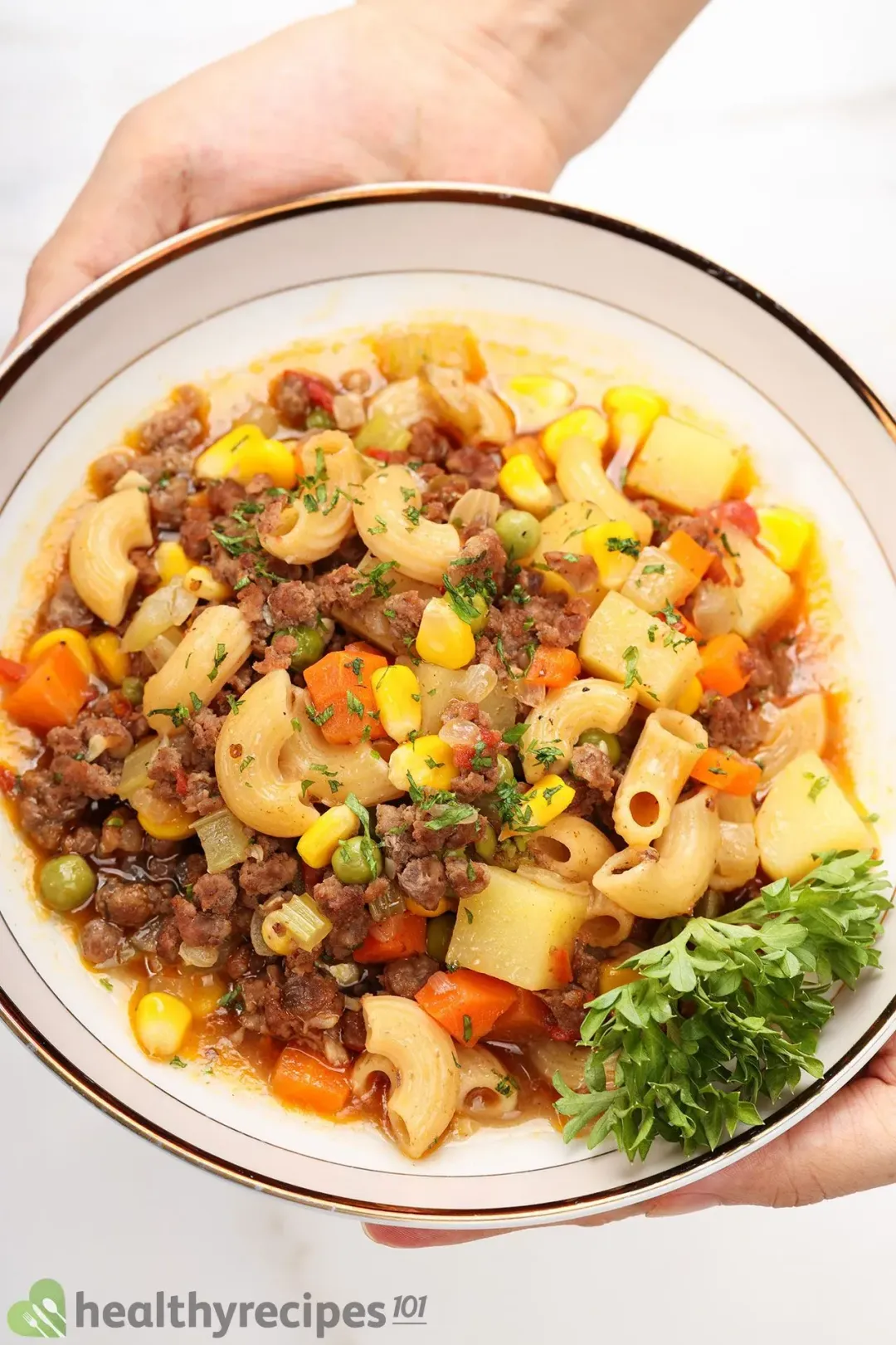 Hamburger Soup Recipe