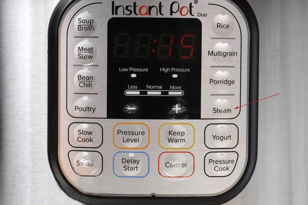 instant pot steam